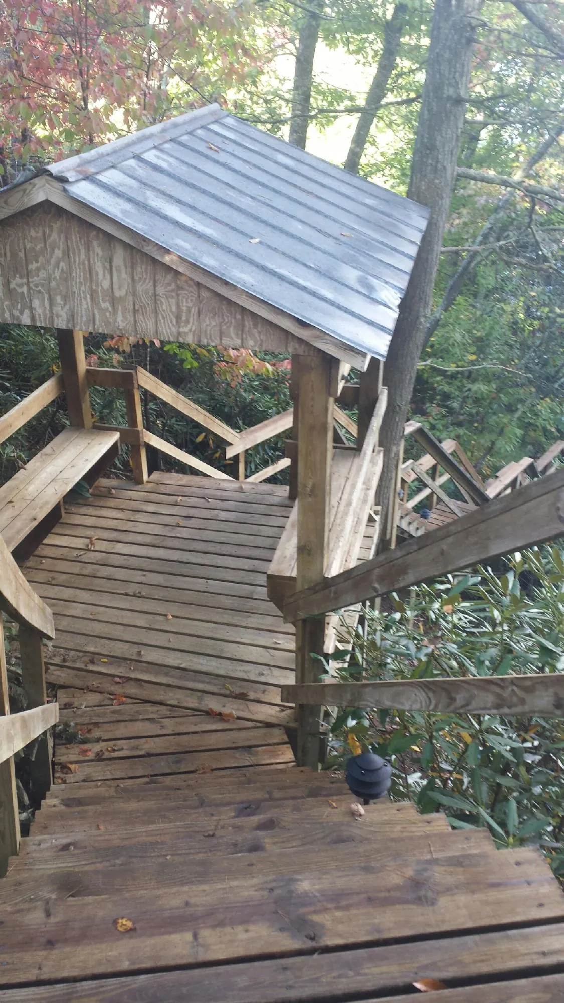 Metal roofed shelter over wooden steps on a wooded walkway in Westport